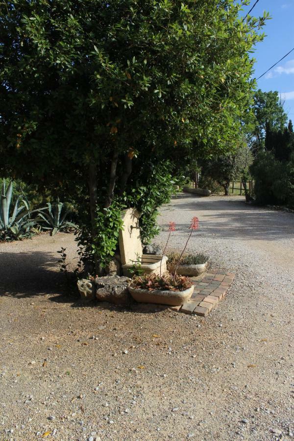Apartment Mas Des Oliviers Saint-Esteve (Pyrenees-Orientales)